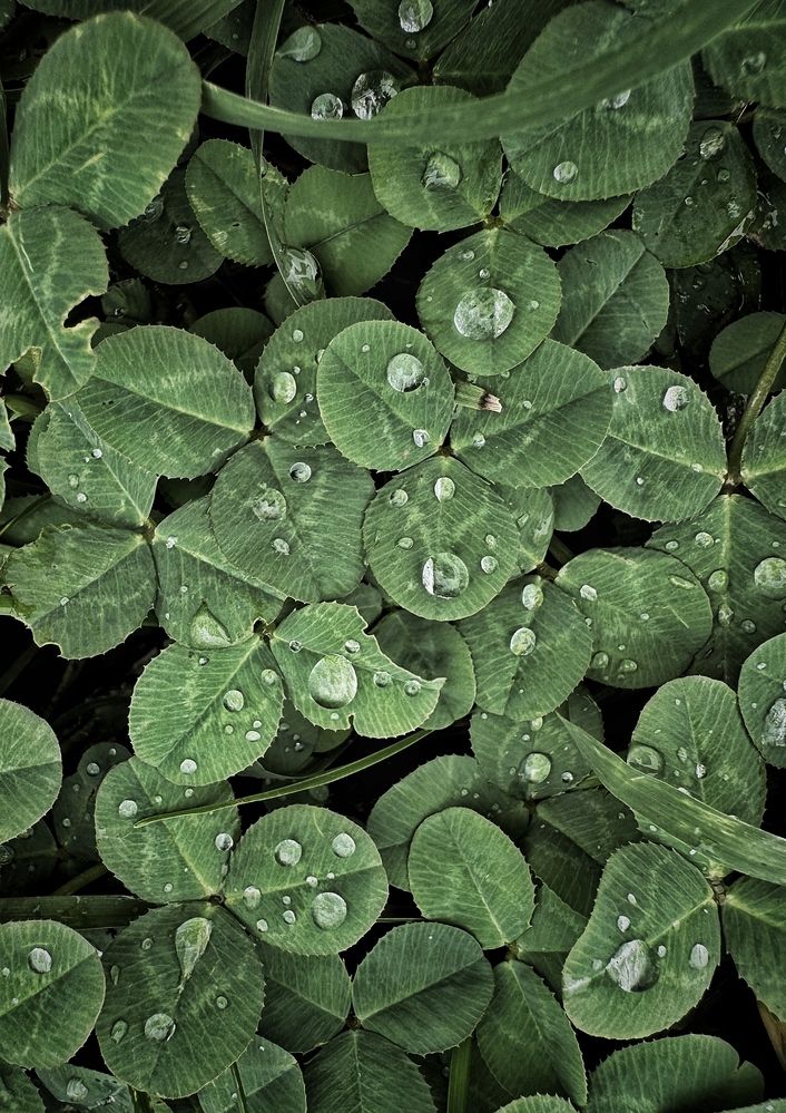 Photograph by Юлия Порфирьева