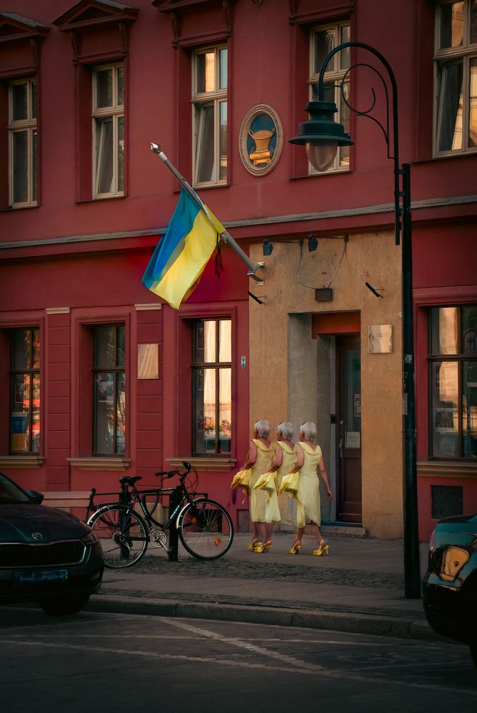 Photograph by Denis Cristian BURMELEAC