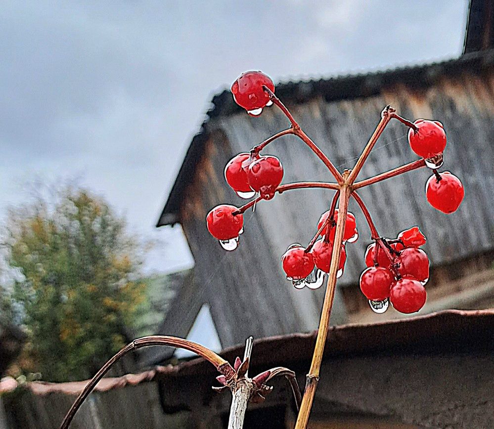 Photograph by Николай Худяков