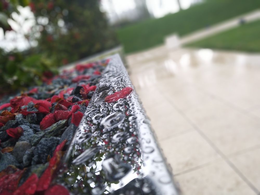 Фотография автора Анатолий Дячина