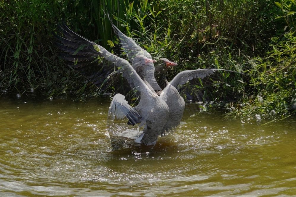 Фотография автора Sergej Roor