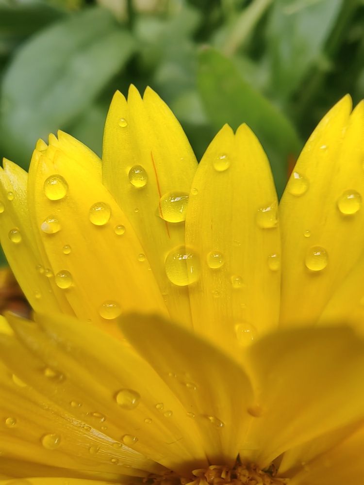 Photograph by Чкареули Светлана