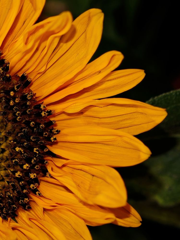 Photograph by raza ali