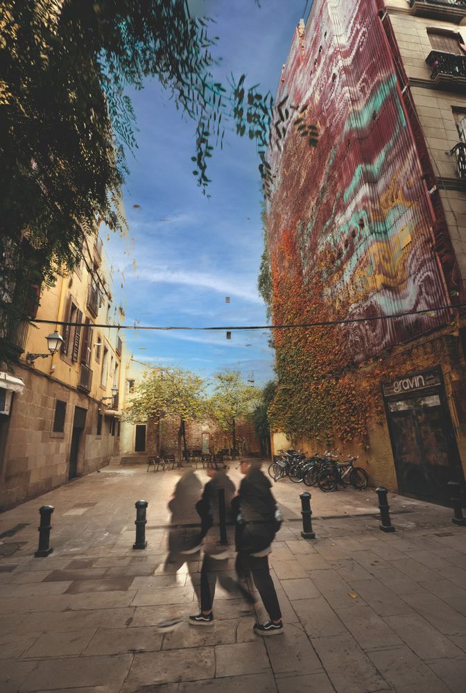 Photograph by Denis Cristian BURMELEAC