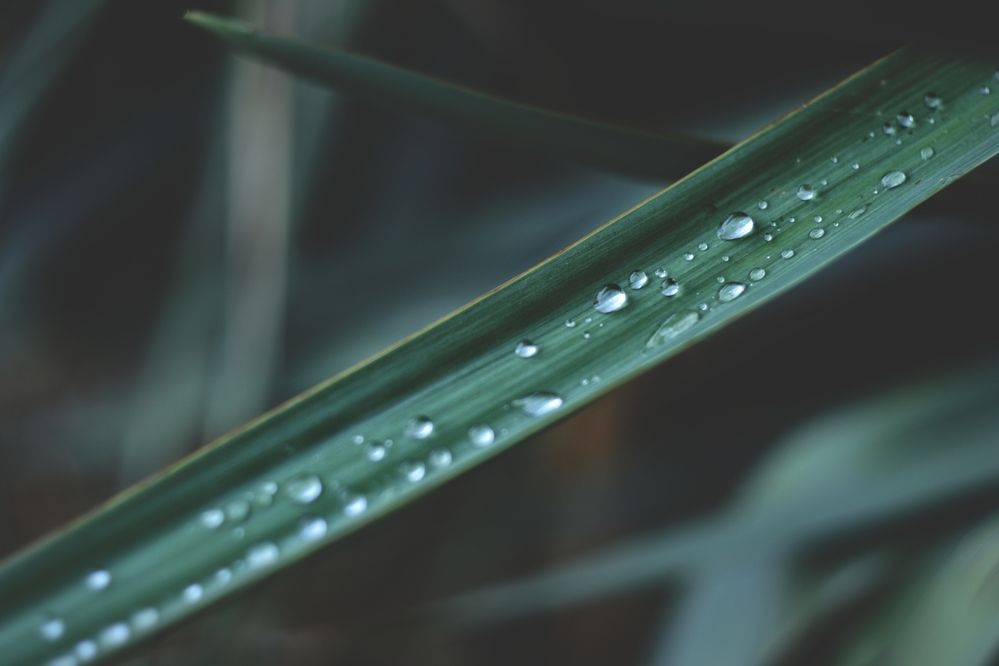 Photograph by Magic Helios