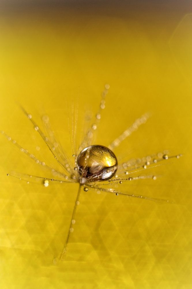 Photograph by Magic Helios