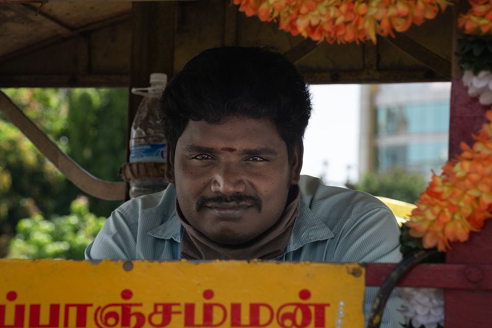 Photograph by Елена Вторушина