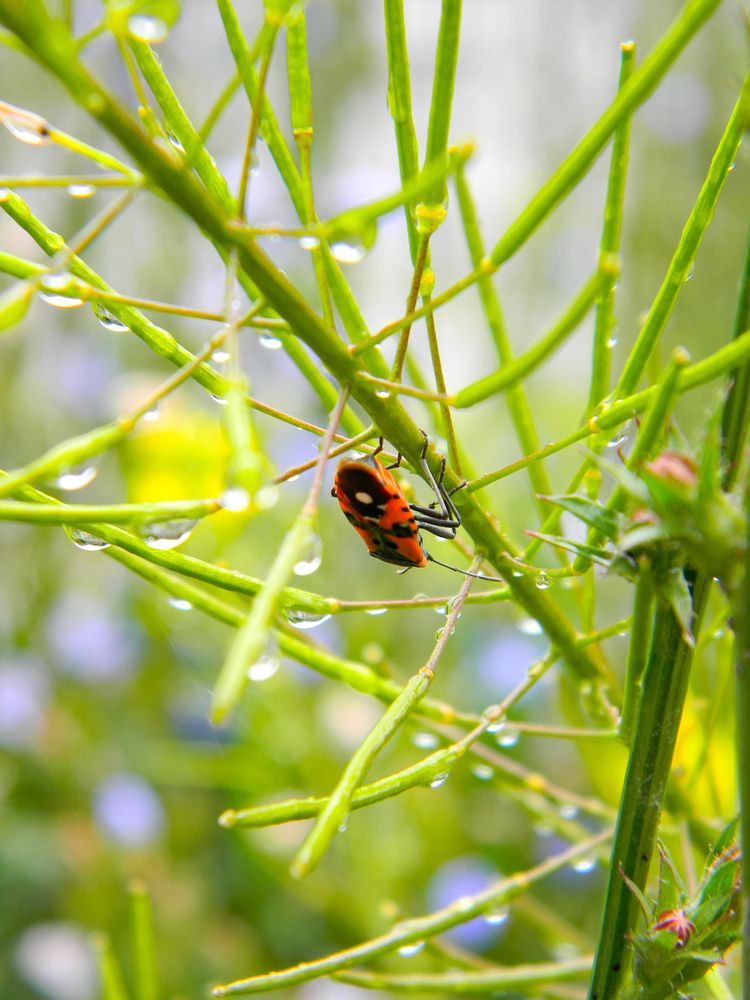 Photograph by Дарья