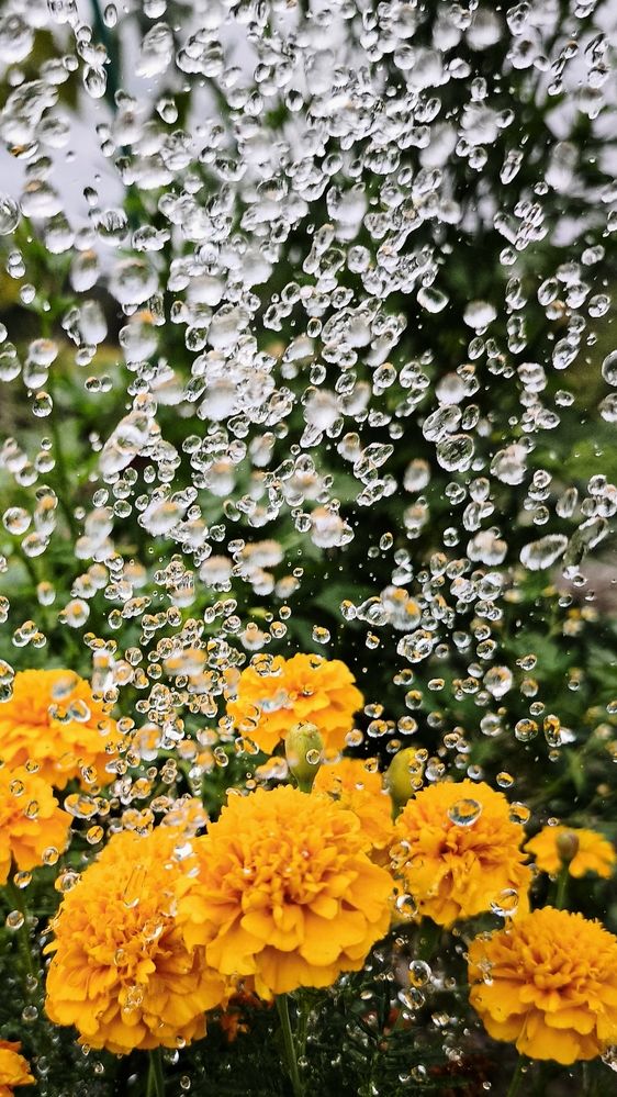 Photograph by Eugenia Blinova