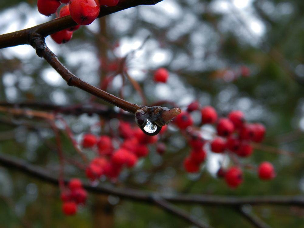 Photograph by Дарья