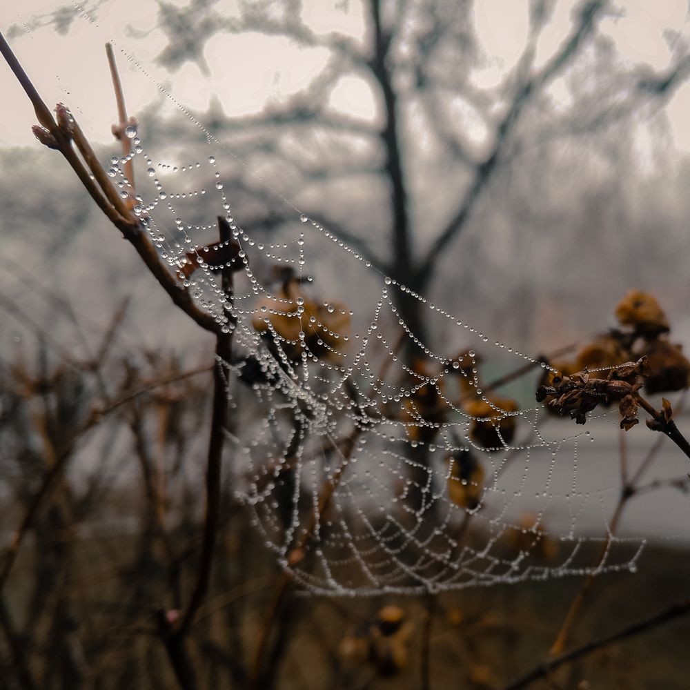 Фотография автора Геннадий Ломеко