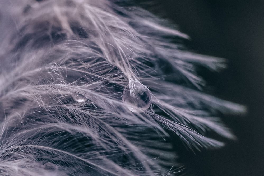 Photograph by Victoria Mogulyan