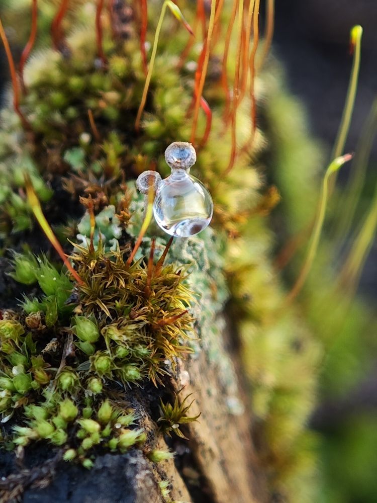 Photograph by Надежда Кангина