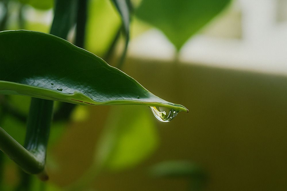 Photograph by Ambewadikar sourabh