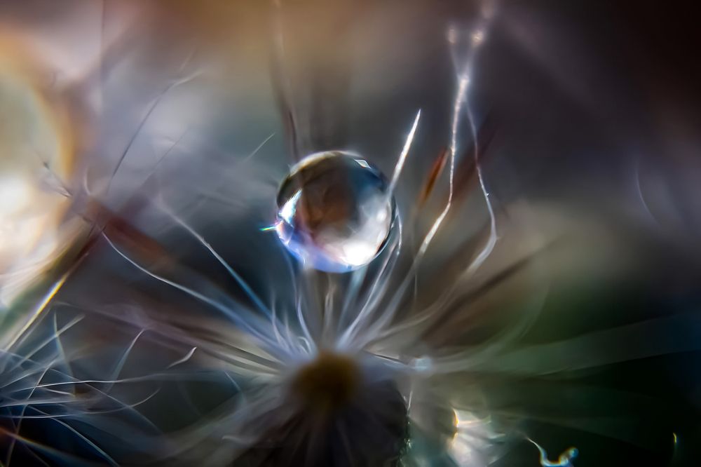 Photograph by Ирина Шибитова