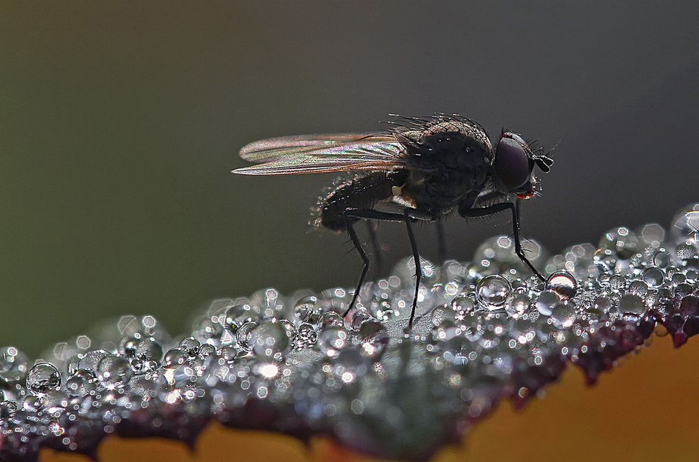 Фотография автора Александр