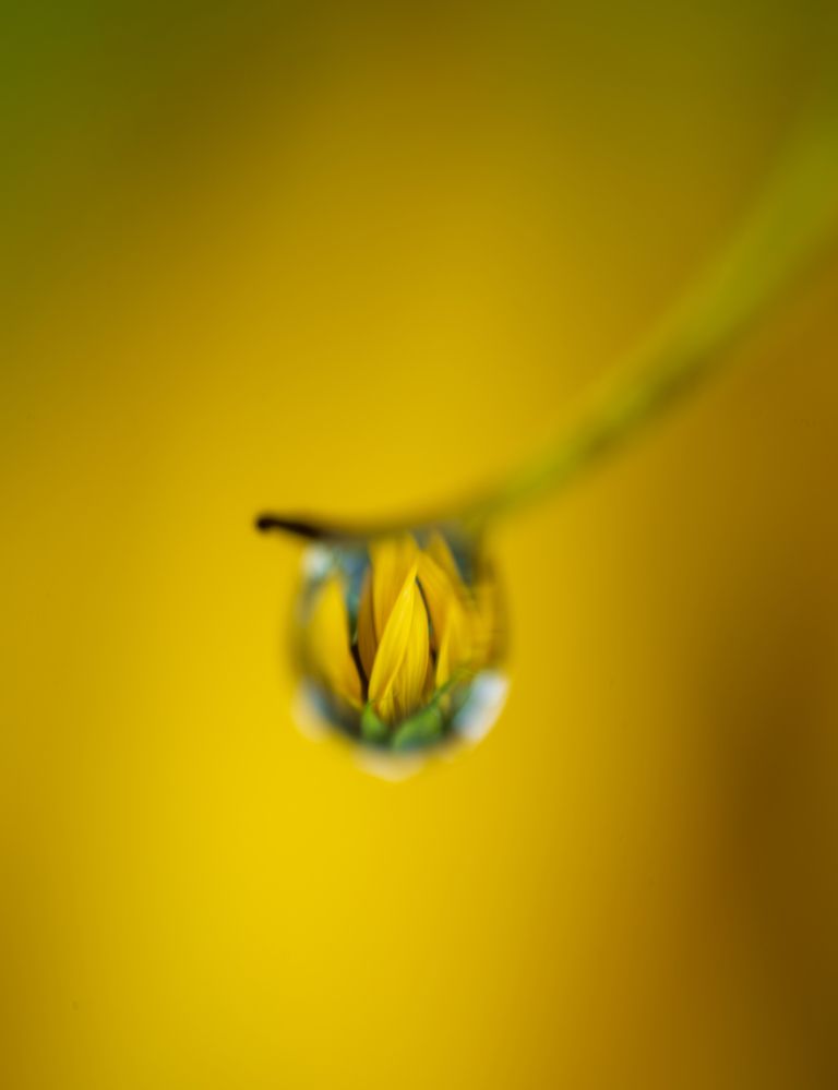 Photograph by Артём Парамонов