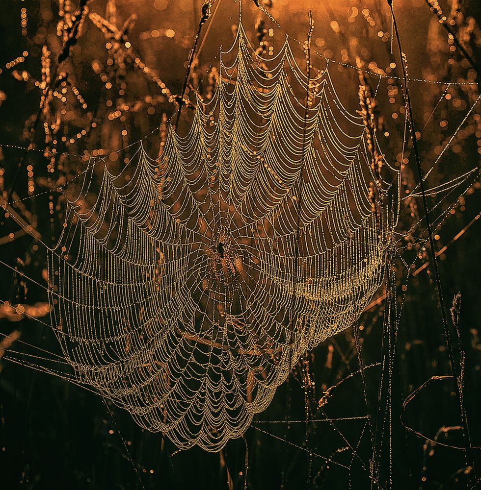 Photograph by Александр