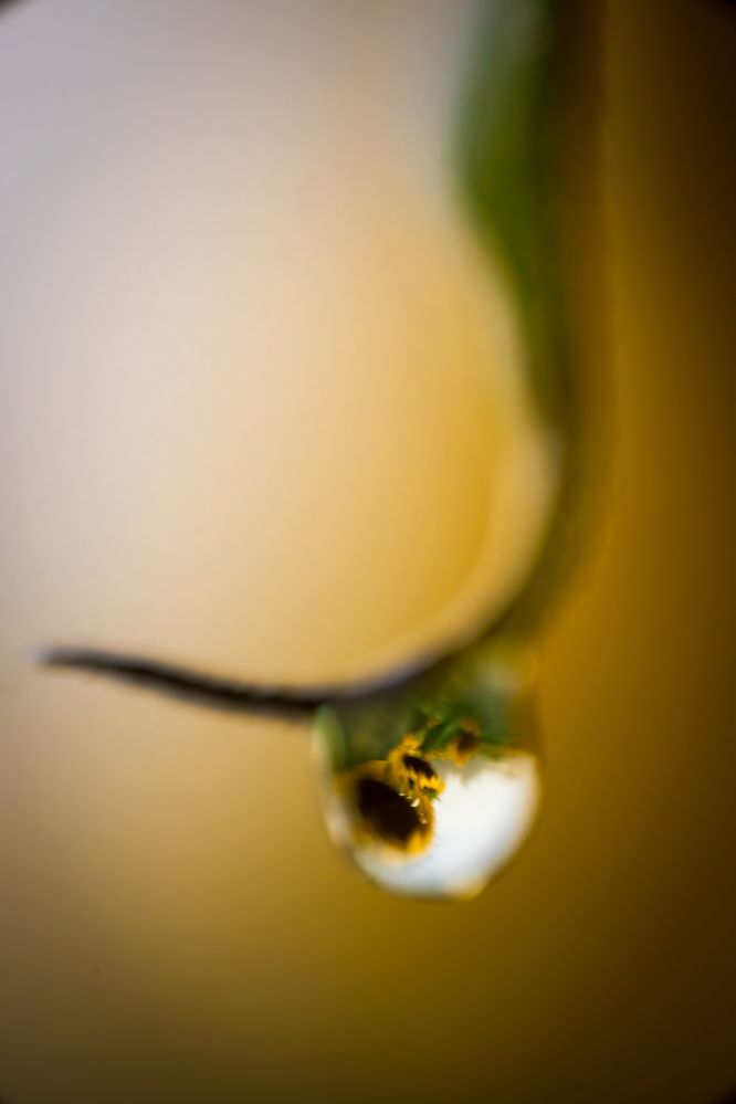 Photograph by Артём Парамонов