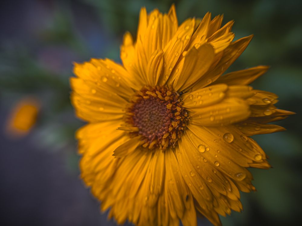 Photograph by Konstantin Martynov