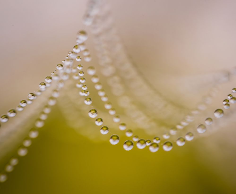 Photograph by Артём Парамонов