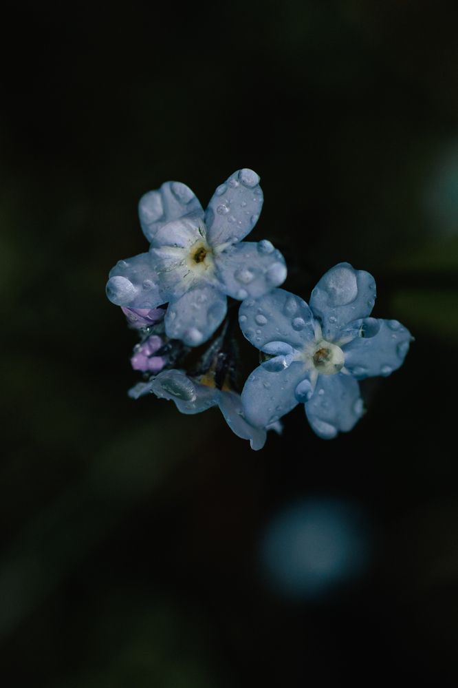 Photograph by Алёна Губинская