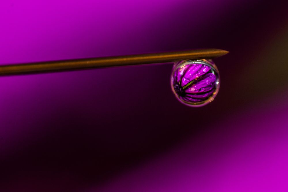 Photograph by Shalini Jain