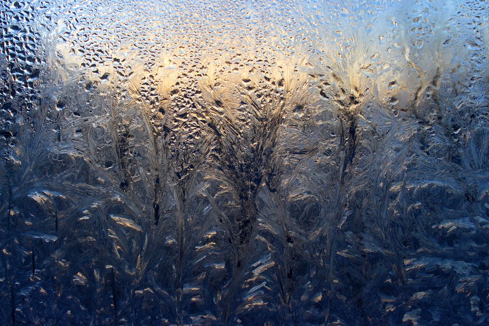 Photograph by Светлана Шубина