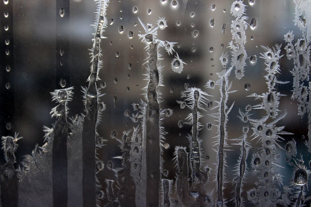 Колючие иголки