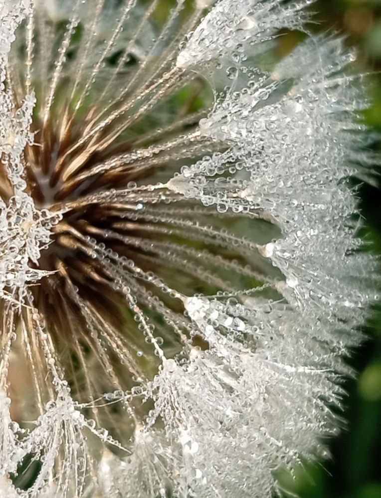 Photograph by Елена Коробченко