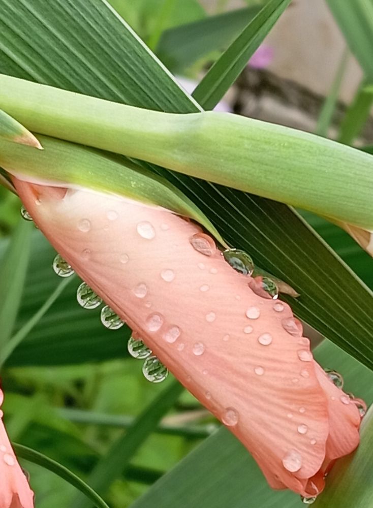 Photograph by Елена Коробченко