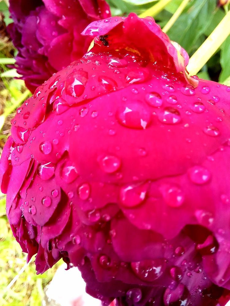 Photograph by Ольга Юрченко