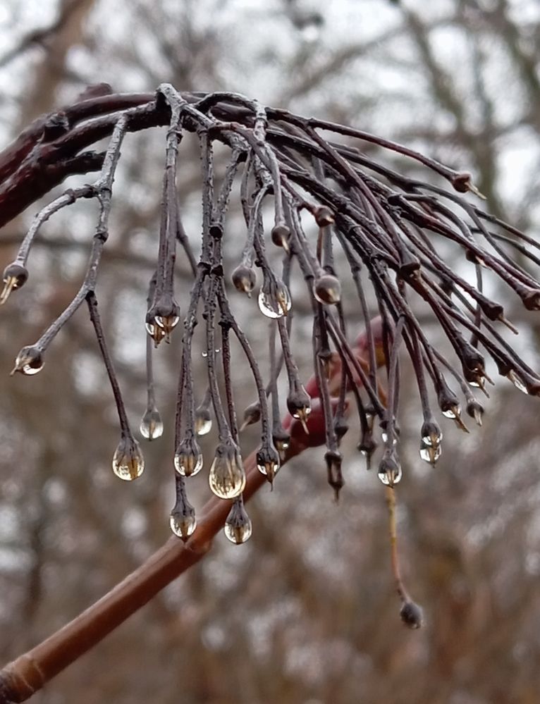 Photograph by Елена Коробченко