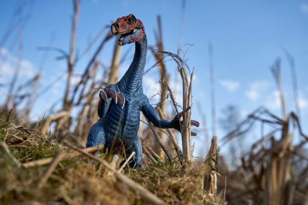 Photograph by Максим Карпович