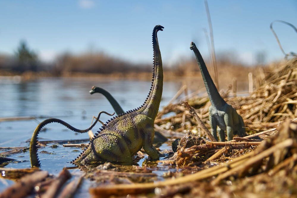 Photograph by Максим Карпович