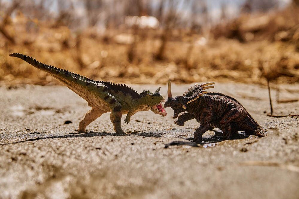 Photograph by Максим Карпович