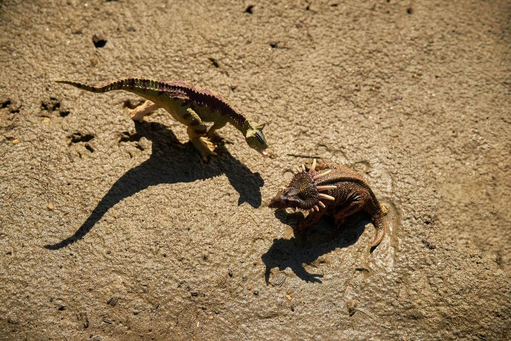 Photograph by Максим Карпович