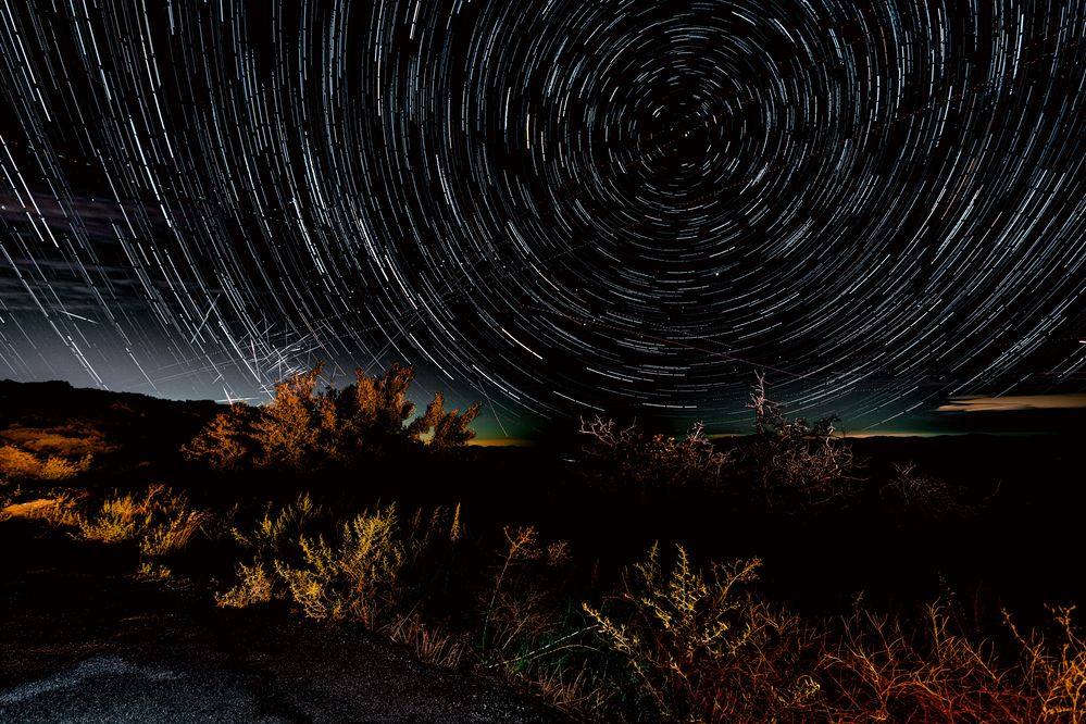 Photograph by Fadi Taher