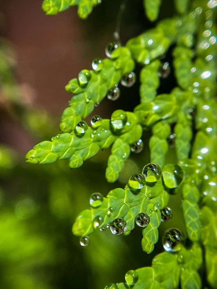 Фотография автора Рамзия Хисамутдинова