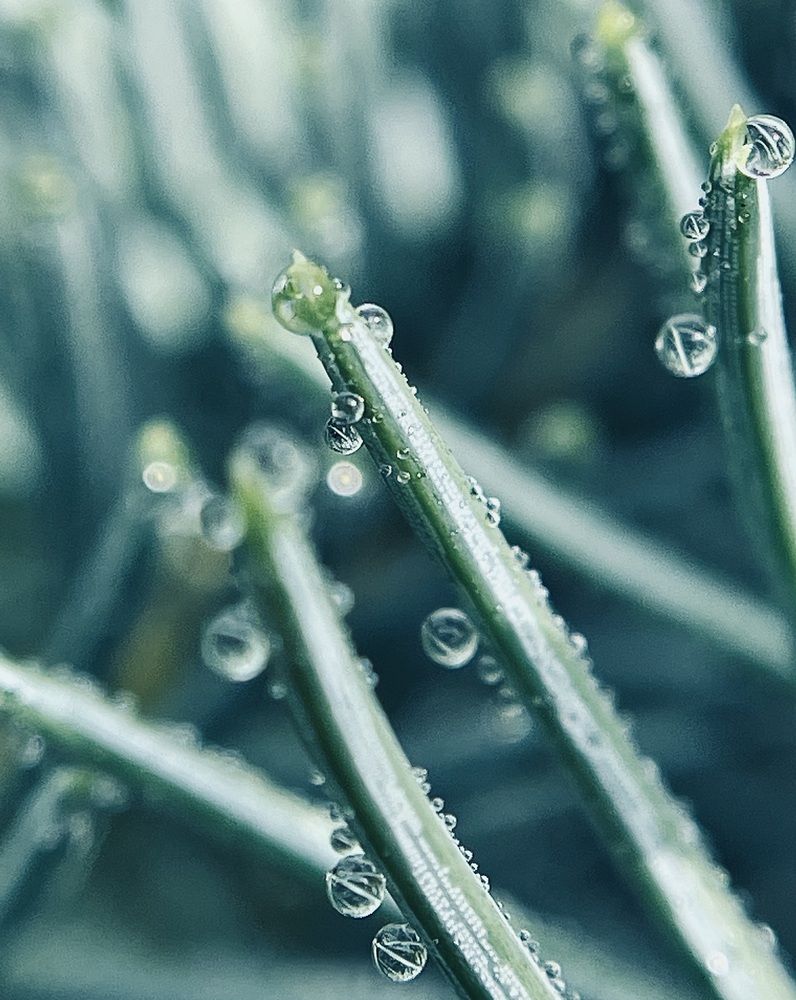 Фотография автора Рамзия Хисамутдинова