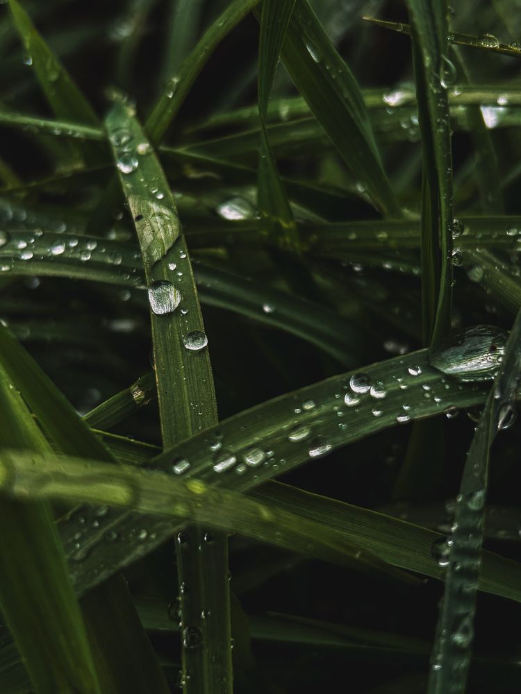 Photograph by Veronika Gromadina