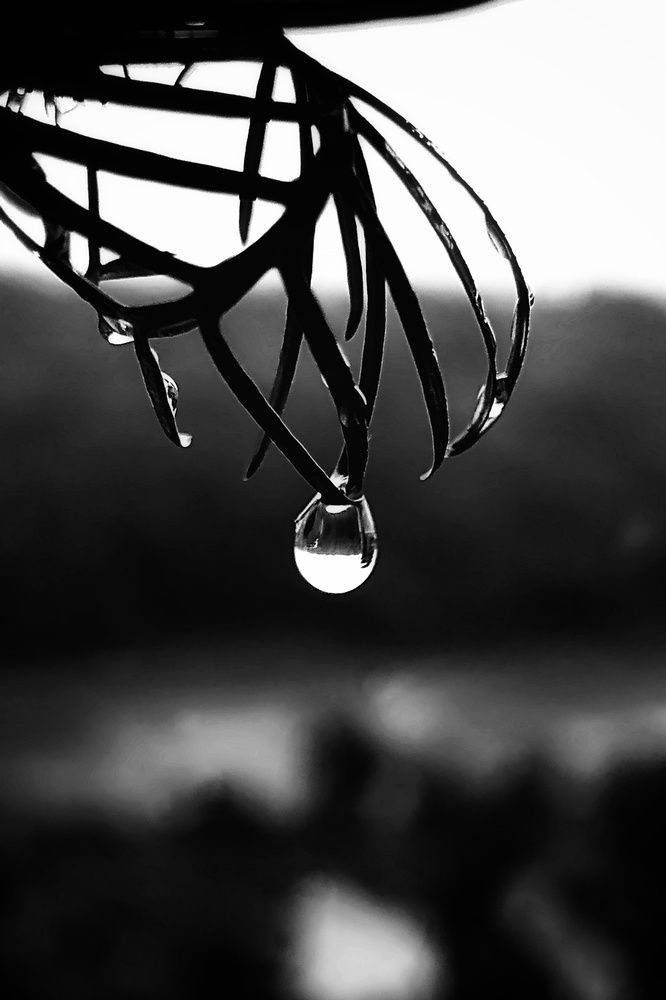 Фотография автора Sheuli Akther