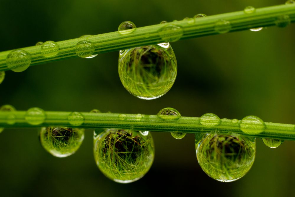 Photograph by Никита Иванов