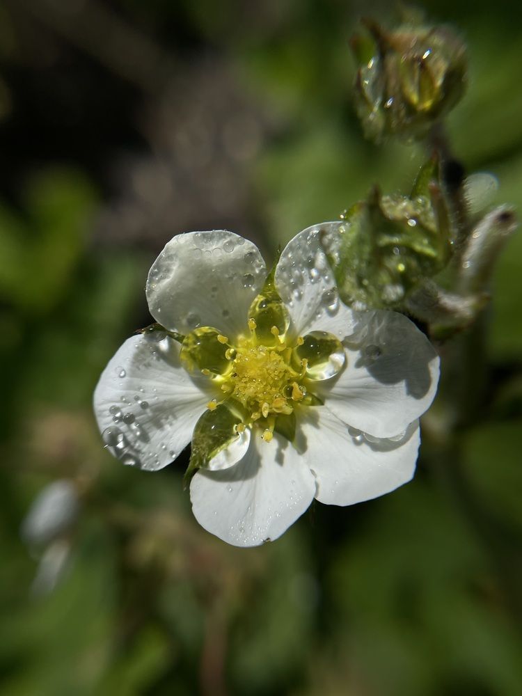 Фотография автора Рамзия Хисамутдинова