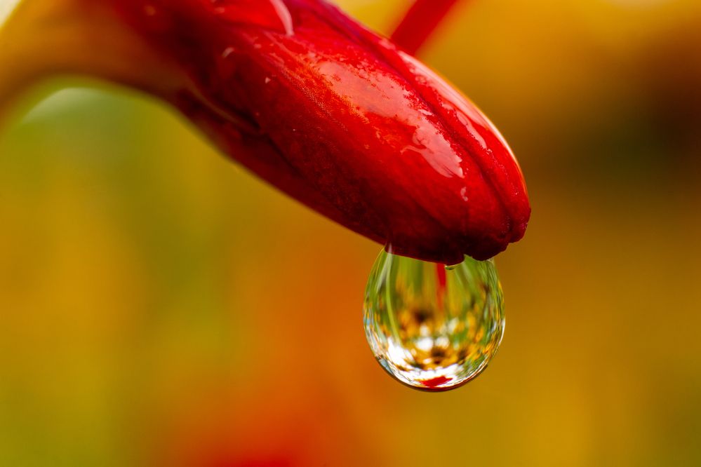 Photograph by Никита Иванов