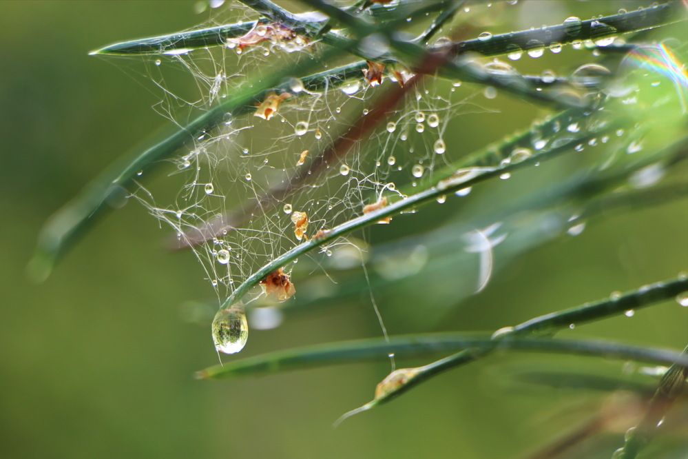 Фотография автора Анатолий Борисов