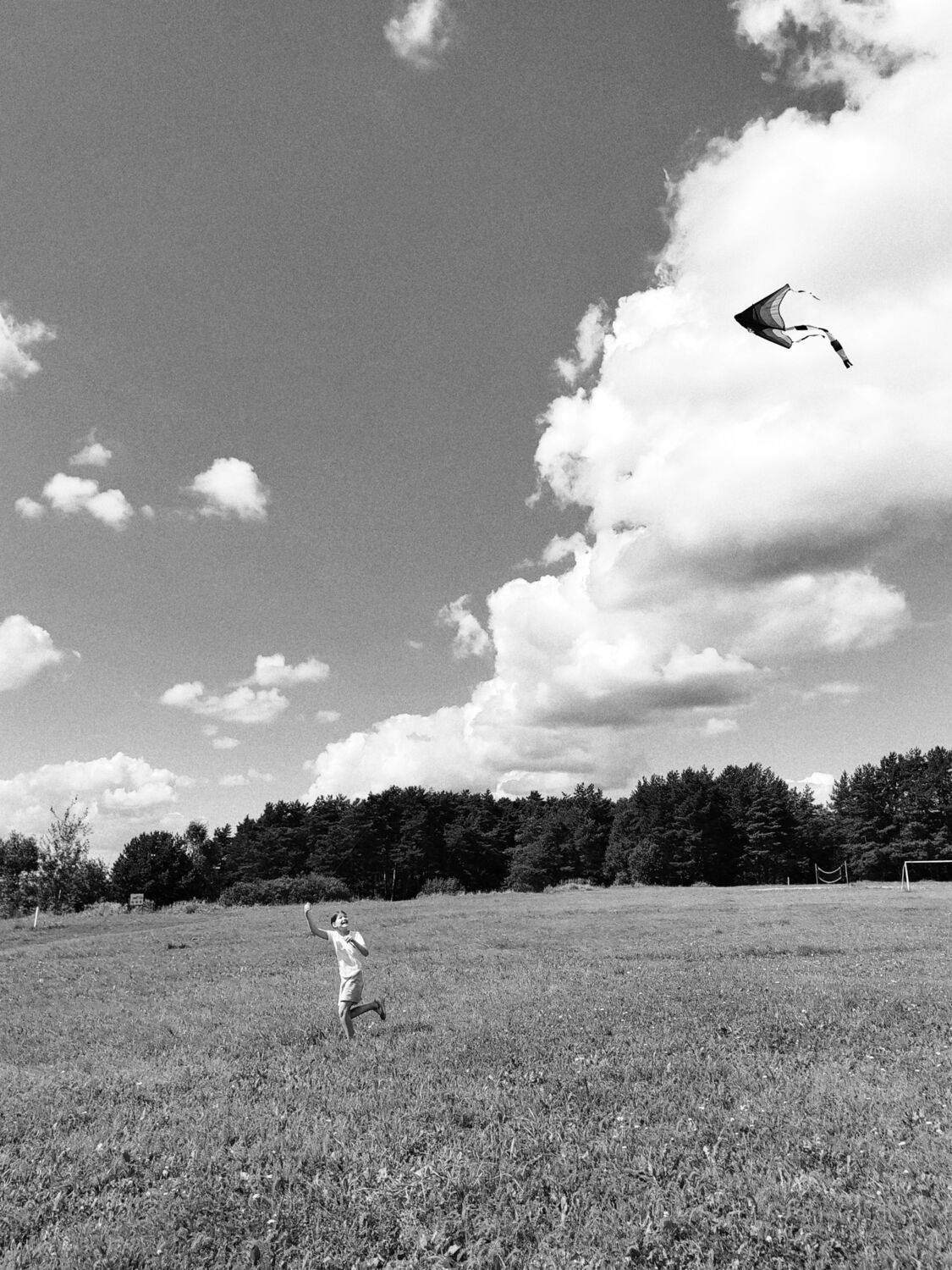 Photo #12573895