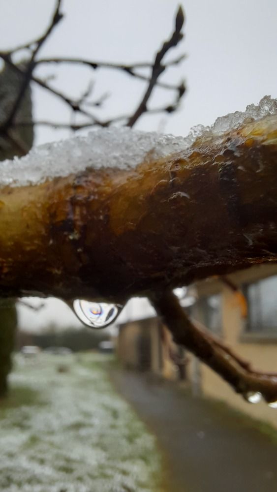 Photograph by SAMEERA MADUSHANTHA MUTHUKUDA ARACHCHIGE