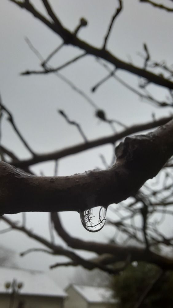 Photograph by SAMEERA MADUSHANTHA MUTHUKUDA ARACHCHIGE