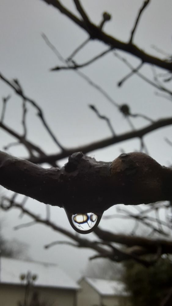 Photograph by SAMEERA MADUSHANTHA MUTHUKUDA ARACHCHIGE